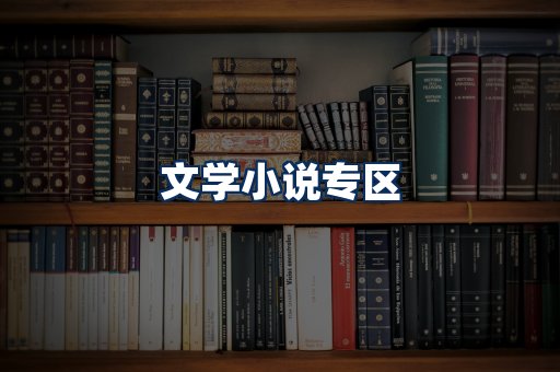 文学小说PDF展示